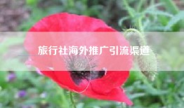 旅行社海外推广引流渠道