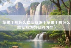苹果手机怎么降低系统（苹果手机怎么降低系统数据的内存）