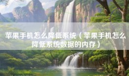 苹果手机怎么降低系统（苹果手机怎么降低系统数据的内存）