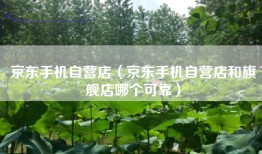 京东手机自营店（京东手机自营店和旗舰店哪个可靠）