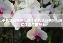 手机误删视频恢复（手机误删视频恢复软件哪个最好）