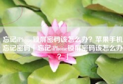 忘记iPhone锁屏密码该怎么办？苹果手机忘记密码「忘记iPhone锁屏密码该怎么办？」