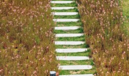 欲钱去看乐山大佛指什么生肖，精准解释落实