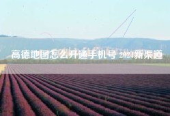 高德地图怎么开通手机号 2024新渠道