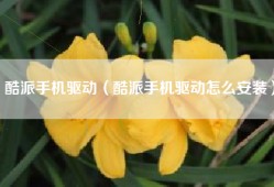 酷派手机驱动（酷派手机驱动怎么安装）