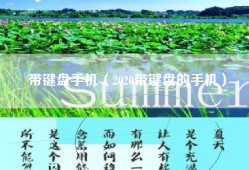 带键盘手机（2020带键盘的手机）