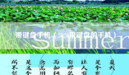 带键盘手机（2020带键盘的手机）