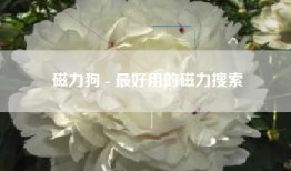 磁力狗 - 最好用的磁力搜索