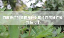 百度推广的流程是什么呢【百度推广操作技巧】