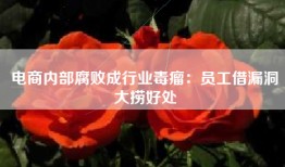 电商内部腐败成行业毒瘤：员工借漏洞大捞好处