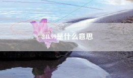 24k99是什么意思