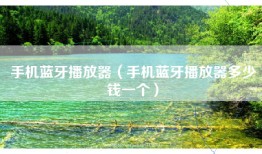 手机蓝牙播放器（手机蓝牙播放器多少钱一个）