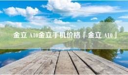 金立 A10金立手机价格「金立 A10」