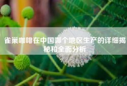 雀巢咖啡在中国哪个地区生产的详细揭秘和全面分析