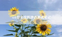 web安全攻防渗透测试笔记