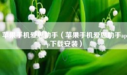 苹果手机爱思助手（苹果手机爱思助手app下载安装）