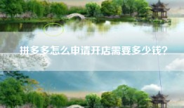 拼多多怎么申请开店需要多少钱？