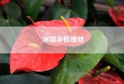 深圳手机维修