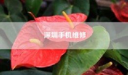 深圳手机维修