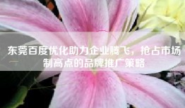 东莞百度优化助力企业腾飞，抢占市场制高点的品牌推广策略