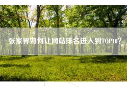 张家界如何让网站排名进入到TOP10？