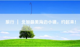 旅行 ｜ 北加最美海边小镇，约起来！