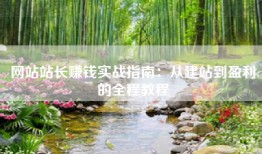 网站站长赚钱实战指南：从建站到盈利的全程教程