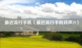 最近流行手机（最近流行手机铃声29）