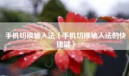 手机切换输入法（手机切换输入法的快捷键）