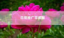 百度推广苹果版