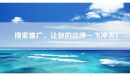 搜索推广，让你的品牌一飞冲天！