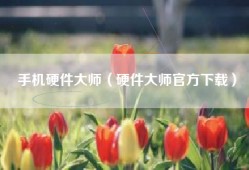 手机硬件大师（硬件大师官方下载）