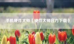 手机硬件大师（硬件大师官方下载）