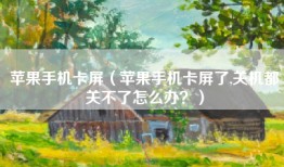 苹果手机卡屏（苹果手机卡屏了,关机都关不了怎么办？）