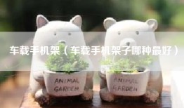 车载手机架（车载手机架子哪种最好）