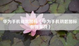 华为手机钥匙图标（华为手机钥匙图标在哪里找）