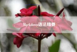 Markdown语法精要