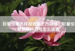 巨量引擎怎样投放第三方链接？巨量引擎投放抖音号怎么设置