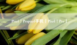 Pixel 7 Propixel手机「Pixel 7 Pro」