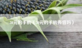 30元的手机（30元的手机壳值吗）