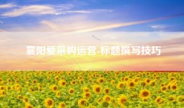 襄阳爱采购运营-标题撰写技巧