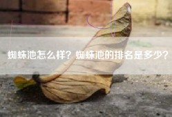 蜘蛛池怎么样？蜘蛛池的排名是多少？