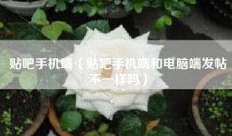 贴吧手机端（贴吧手机端和电脑端发帖不一样吗）