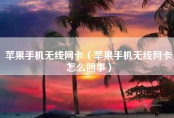 苹果手机无线网卡（苹果手机无线网卡怎么回事）