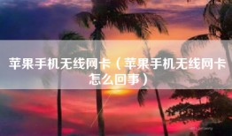 苹果手机无线网卡（苹果手机无线网卡怎么回事）