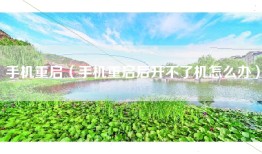手机重启（手机重启后开不了机怎么办）