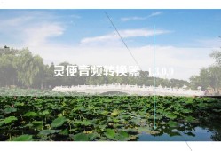 灵便音频转换器  1.3.0.0