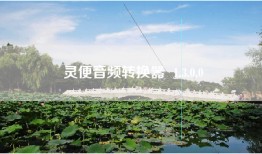灵便音频转换器  1.3.0.0
