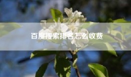 百度搜索排名怎么收费