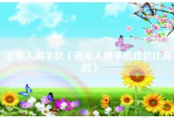 老年人用手机（老年人用手机性价比高的）